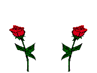 Gif animé amour roses